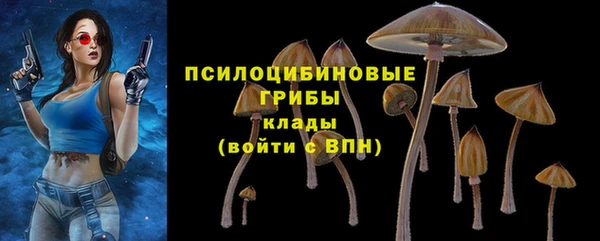 наркотики Богородск